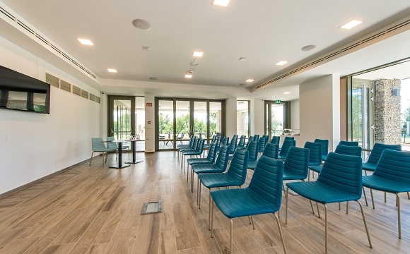 Conferences and meetings